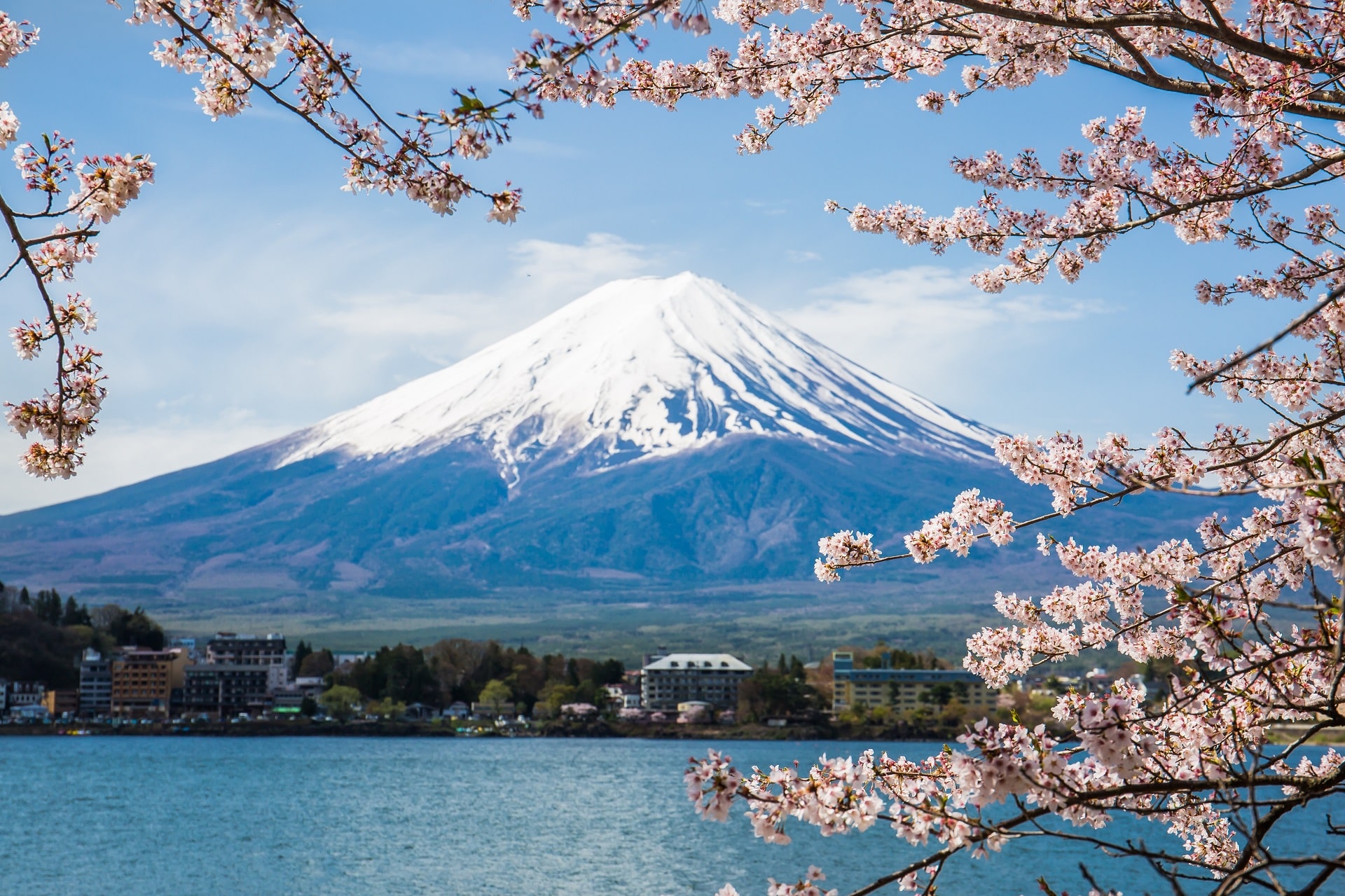Jewels of Japan (Cherry Blossom 2026)