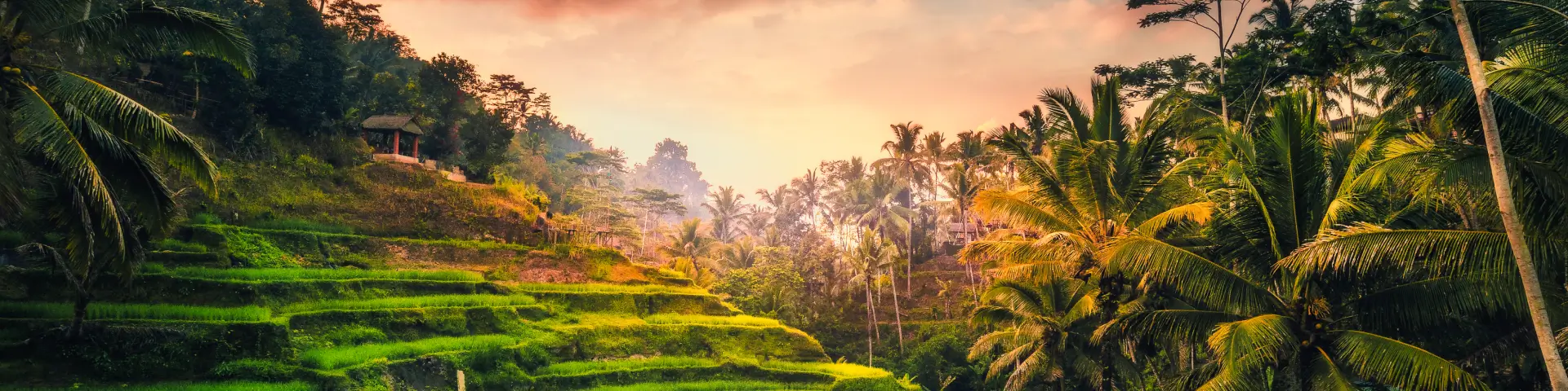 Explore Bali