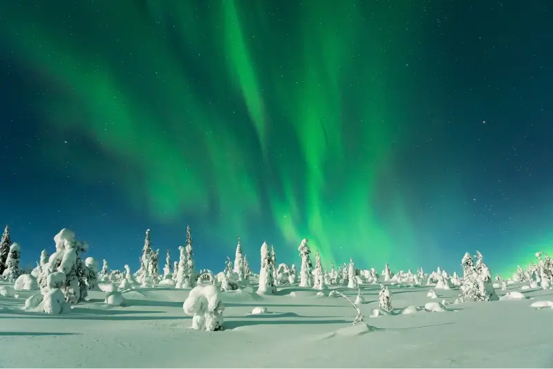 Lapland - A Winter Wonderland